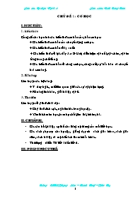 Giáo án tự chọn Vật lí Lớp 8 - Tiết 1 đến 15 - Năm học 2009-2010 - Đinh Công Tuân