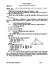 Giáo án Hình học Lớp 8 - Tiết 49, Bài 8: Các trường hợp đồng dạng của tam giác vuông - Lam Thanh Nam