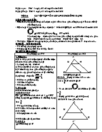 Giáo án tự chọn môn Toán - Tiết 24: Luyện tập về hai tam giác đồng dạng
