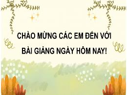 Bài giảng Toán Lớp 8 (Cánh diều) - Bài 4: Vận