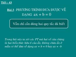 Bài giảng Đại số 8 - Chương III: Phương trình