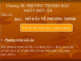 Bài giảng Đại số 8 - Chương III: Phương trình