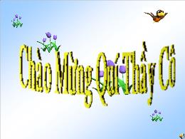 Bài giảng Hình học 8 - Chương I, Tiết 20: Hìn