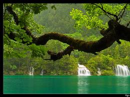 Bài giảng Lịch sử 8 - Tiết 22, Bài 15: Cach m