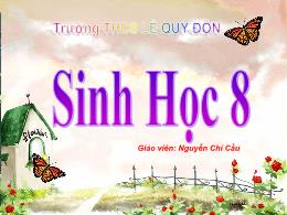 Bài giảng Sinh học 8 - Bài 11: Tiến hóa của h