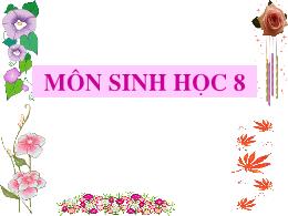 Bài giảng Sinh học 8 - Bài 28: Tiêu hóa ở ruộ