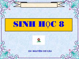 Bài giảng Sinh học 8 - Bài 54: Vệ sinh hệ thầ