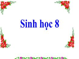 Bài giảng Sinh học 8 - Chương III: Tuần hoàn 
