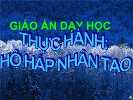 Bài giảng Sinh học 8 - Tuần 13, Bài 23: Thực