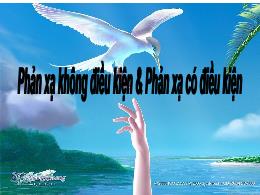 Bài giảng Sinh học Lớp 8 - Tiết 54, Bài 52: P