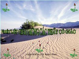 Bài giảng Toán 8 - Bài: Luyện tập Diện tích t