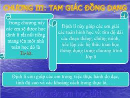 Bài giảng Toán 8 - Chương III: Tam giác đồng