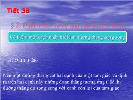 Bài giảng Toán 8 - Chương III: Tam giác đồng