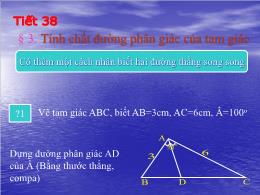 Bài giảng Toán 8 - Chương III: Tam giác đồng