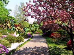 Bài giảng Toán 8 - Tiết 24: Rút gọn phân thức