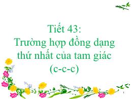 Bài giảng Toán 8 - Tiết 43: Trường hợp đồng d