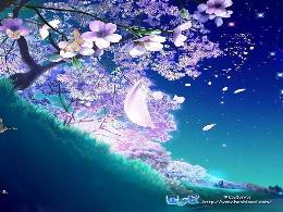 Bài giảng Toán 8 - Tiết 55: Hình hộp chữ nhật