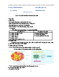 Giáo án Sinh học 8 - Tuần 7 - Năm học 2021-20