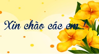 Bài giảng Ngữ văn 8 - Thực hành tiếng Việt: C
