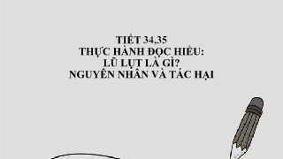 Bài giảng Ngữ văn 8 - Tiết 34,35: Thực hành đ