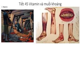 Bài giảng Sinh học 8 - Tiết 45: Vitamin và mu